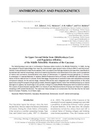 An Upper Second Molar from Akhshtyrskaya Cave and Population Affinities of the Middle Paleolithic Hominins of the Caucasus