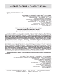 Верхний второй моляр из Ахштырской пещеры и направления популяционных связей среднепалеолитического населения Кавказа