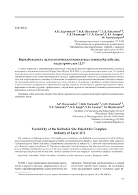 Вариабельность палеолитического комплекса стоянки Кульбулак: индустрия слоя 12.3