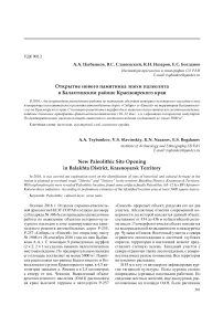 Открытие нового памятника эпохи палеолита в Балахтинском районе Красноярского края