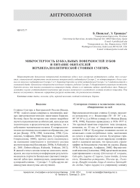 Микростертость буккальных поверхностей зубов и питание обитателей верхнепалеолитической стоянки Сунгирь