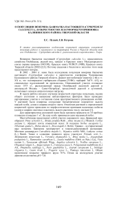 О популяции венерина башмачка настоящего (Cypripedium calceolus L.) в окрестностях платформы Чуприяновка Калининского района Тверской области