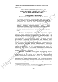 Реполяризация желудочков сердца крыс линии Вистар в период раннего постнатального онтогенеза