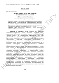 Зооантропонозные протозоозы в Воронежской области