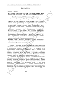 Пути адаптации вторичной ксилемы древесных растений к экстремальным условиям Арктики