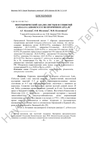 Фитохимический анализ листьев и соцветий Caragana arborescens во вторичном ареале