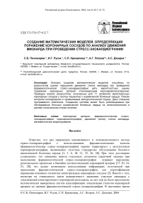 Создание математических моделей, определяющих поражение коронарных сосудов по анализу движения миокарда при проведении стресс-эхокардиографии