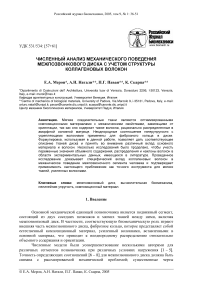 Численный анализ механического поведения межпозвонкового диска с учетом структуры коллагеновых волокон