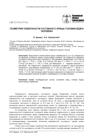 Геометрия поверхности суставного хряща головки бедра человека