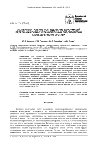 Экспериментальное исследование деформаций бедренной кости с установленным эндопротезом тазобедренного сустава