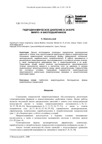 Гидродинамическое давление в зазоре микро- и биоподшипников