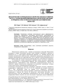 Механические и фрикционные свойства биоэластомеров. Часть 2: различия деформационных характеристик кожи в пределах эпи- и гипогастральной анатомических областей