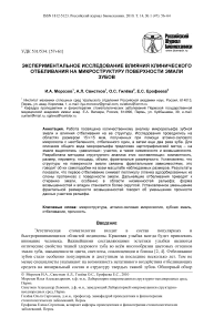 Экспериментальное исследование влияния клинического отбеливания на микроструктуру поверхности эмали зубов