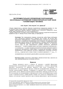 Экспериментальное определение разрушающих касательных напряжений трабекулярной костной ткани головки бедра человека