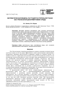 Математическая модель растущей растительной ткани как трехфазной деформируемой среды