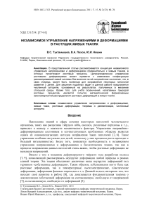 Независимое управление напряжениями и деформациями в растущих живых тканях