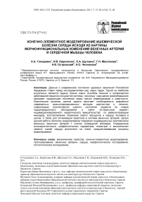 Конечно-элементное моделирование ишемической болезни сердца исходя из картины морфофункциональных изменений венечных артерий и сердечной мышцы человека