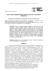 Роль перистоматических колец в работе устьичного аппарата