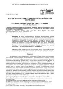 Течение крови в симметричной кровеносной артерии со стенозом