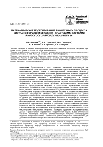 Математическое моделирование биомеханики процесса биотрансформации бетулина нерастущими клетками Rhodococcus rhodochrous ИЭГМ 66