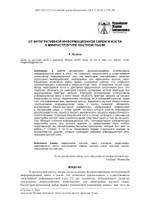 От интегративной информационной связи в кости к микроструктуре костной ткани