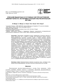 Описание мышечных и суставных сил при нагружении нижней челюсти. Экспериментальный и вычислительный методы