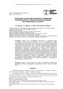 Численная оценка механического поведения локтевой кости у собак при использовании внутримозгового штифта