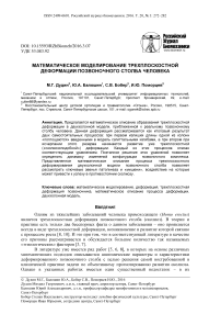 Математическое моделирование трехплоскостной деформации позвоночного столба человека