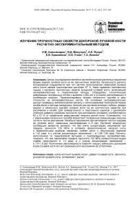 Изучение прочностных свойств донорской лучевой кости расчетно-экспериментальным методом