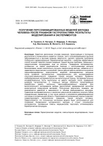 Получение персонифицированных моделей желудка человека после рукавной гастропластики: результаты моделирования и экспериментов