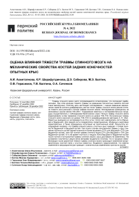 Оценка влияния тяжести травмы спинного мозга на механические свойства костей задних конечностей опытных крыс