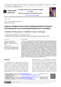 Конечно-элементный анализ поведения макротрещин в кортикальной части большеберцовой кости человека