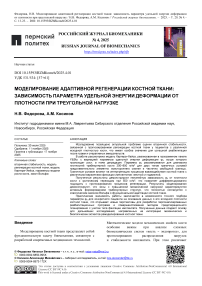 Моделирование адаптивной регенерации костной ткани: зависимость параметра удельной энергии деформации от плотности при треугольной нагрузке