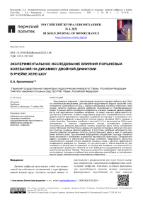 Экспериментальное исследование влияния поршневых колебаний на динамику двойной диффузии в ячейке Хеле–Шоу