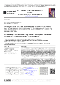 Исследование стабильности polyQ-тракта в гене ATXN2 при наличии САА прерываний в зависимости от вязкости внешней среды