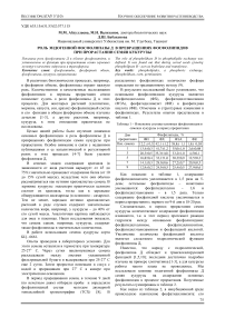 Роль эндогенной фосфолипазы Д в превращениях фосфолипидов при прорастании семян кукурузы