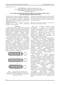 Исследования ионной имплантации в углеродных нанотрубках для применения в животноводстве