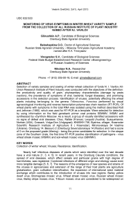 Monitoring of virus symptoms in winter wheat variety sample from the collection of All Russian Institute of Plant Industry named after N. I. Vavilov