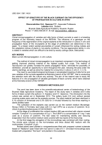 Effect of genotype of the black currant on the efficiency of propagation in culture in vitro