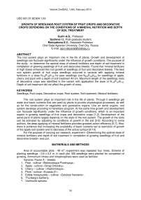 Growth of seedlings root system of fruit crops and decorative crops depending on the conditions of a mineral nutrition and depth of soil treatment