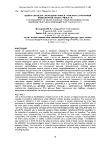 Оценка образцов смородины черной по морфоструктурным компонентам продуктивности