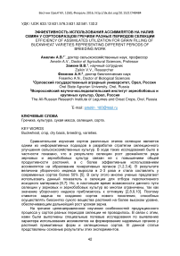 Эффективность использования ассимилятов на налив семян у сортообразцов гречихи разных периодов селекции