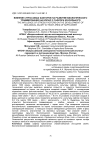 Влияние стрессовых факторов на развитие биологического травмирования на корню у сафлора красильного