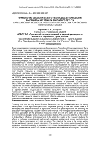 Применение биологического пестицида в технологии выращивания томата закрытого грунта