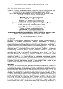 Влияние различных уровней минерального питания на функциональную морфологию щитовидной железы телок