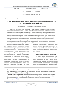 Особо охраняемые природные территории Новосибирской области. Растительный и животный мир