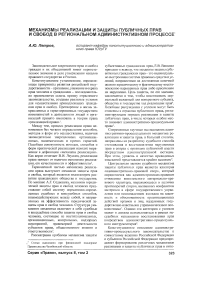 Механизмы реализации и защиты публичных прав и свобод в региональном административном процессе
