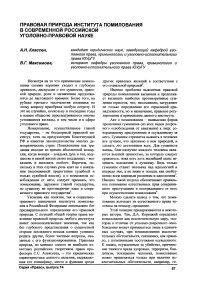 Правовая природа института помилования в современной российской уголовно-правовой науке