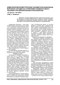 Изменения морфометрических параметров капилляров ворсинок сосудистых сплетений головного мозга человека при церебральном атеросклерозе