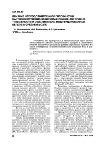 Влияние непродолжительной гипокинезии на глюкокортикоид-зависимые изменения уровня тревожности и окислительно-модифицированных белков в среднем мозге